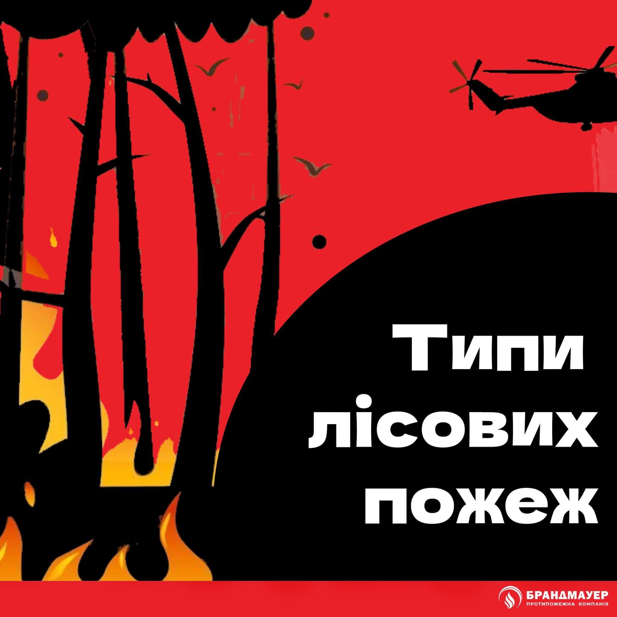 Типи лісових пожеж